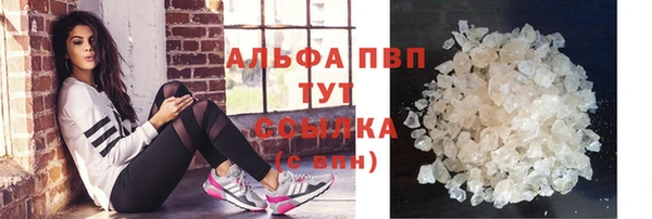 гашик Гусиноозёрск