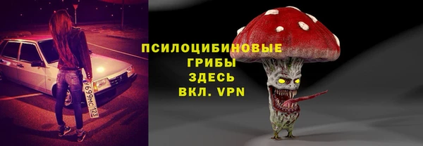 бошки Гусь-Хрустальный