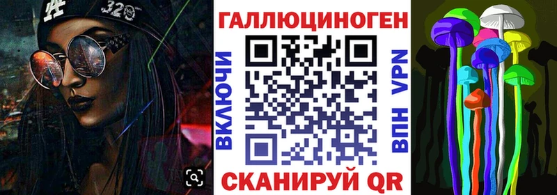 Купить где  Плёс  Галлюциногенные грибы Cubensis 